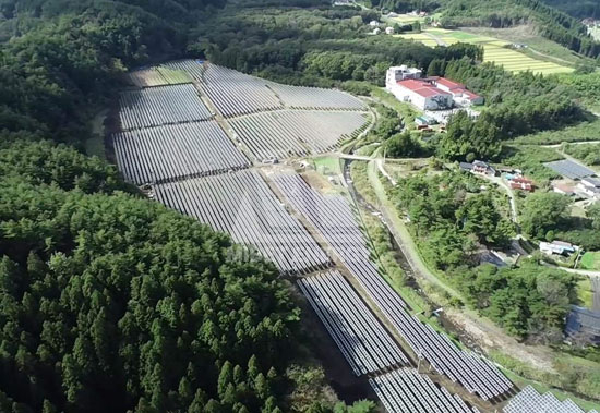 春回大地，650彩票见证日本福岛重焕生机