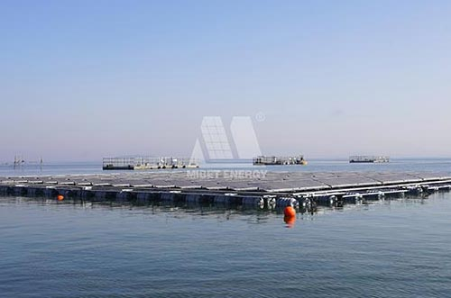 探索海上光伏赛道！650彩票两项海上光伏项目顺利入海实证应用