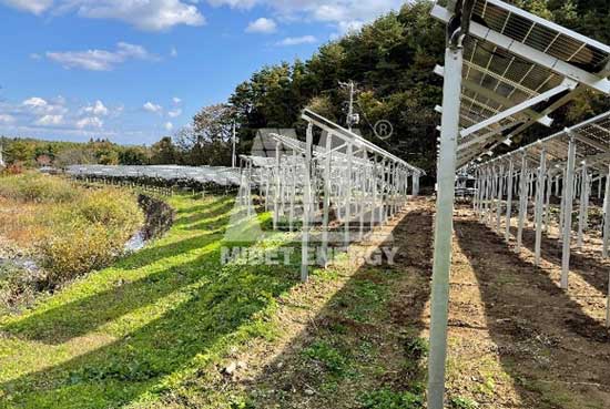 650彩票农光互补项目案例