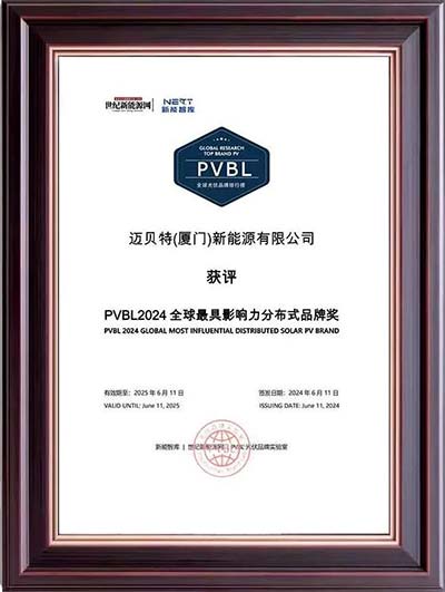650彩票PVBL2024全球最具影响力分布式品牌奖奖牌